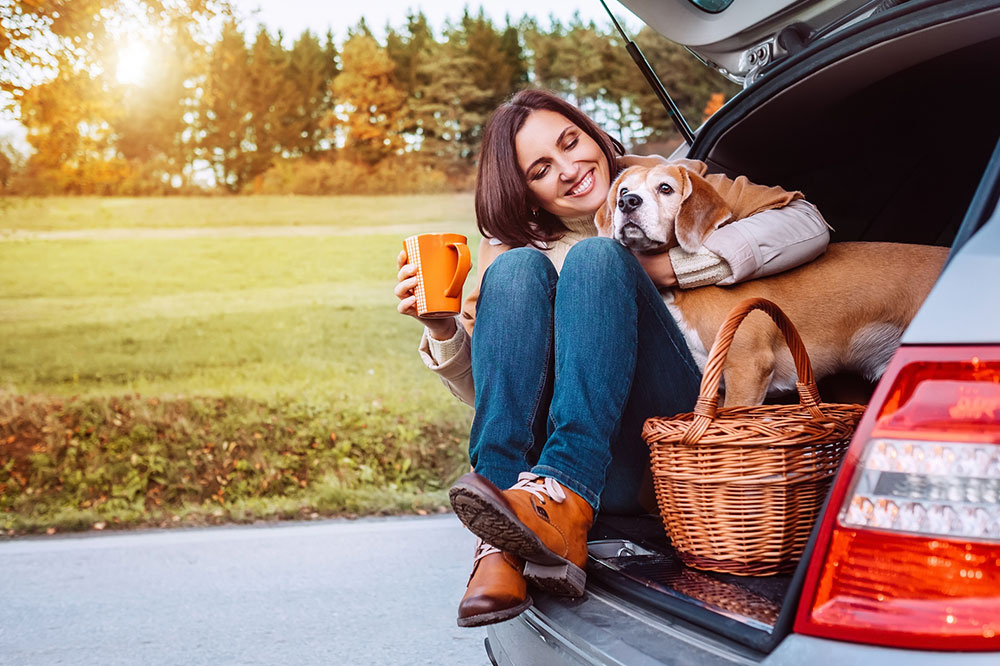 5 Tips for Planning a Pet-Friendly Road Trip